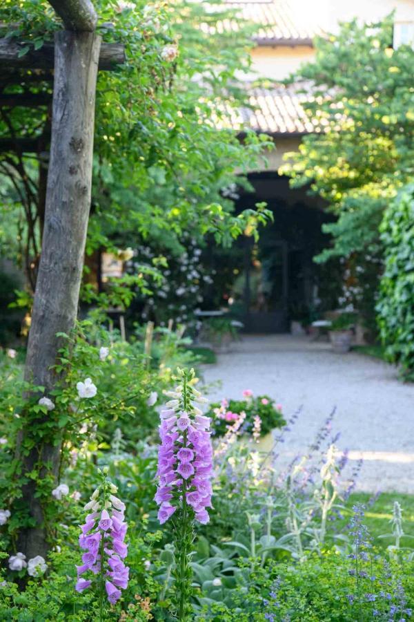 维力诺迪博尔博拉诺住宿加早餐旅馆 帕爾馬 外观 照片